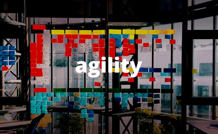 The Essence of Agility